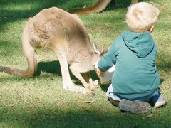 -威勒比开放式动物园