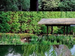 -捞渔河湿地公园