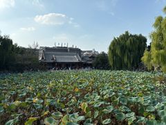-莲池书院博物馆
