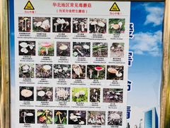 -丰台科技园生态主题公园