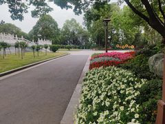 -富乐山