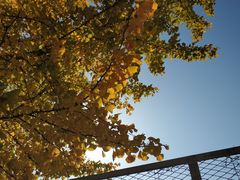 -辽东学院(南校区)