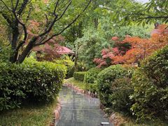 -麦积山温泉