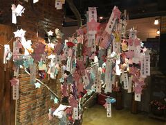 -长藤鬼校(千禧店)
