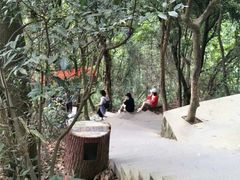 -广州市白云山风景名胜区
