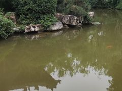 -华清宫景区