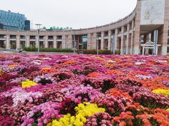 -泉城广场