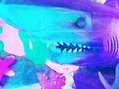 -鼎盛王朝康熙大典实景演出