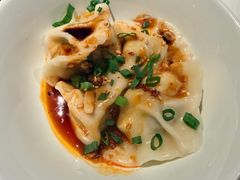 红油钟水饺-许家菜(DT51店)