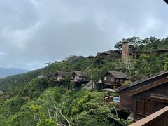 -三亚亚龙湾人间天堂鸟巢度假村