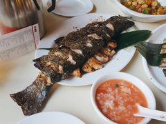 红鳟鱼-北京水岸山吧度假村(雁栖镇店)