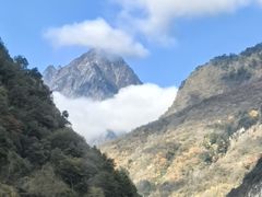 -卧龙自然保护区