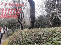 -朴园