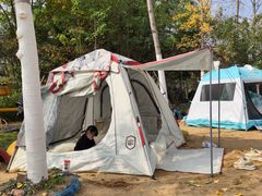 -合肥滨湖国家森林公园