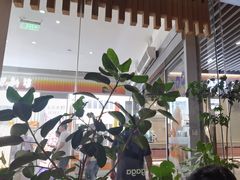 -gaga(深圳福田星河COCO Park店)