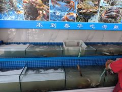 -春华海鲜城(广场西苑店)