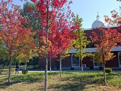 -夏都公园-延庆规划展览馆