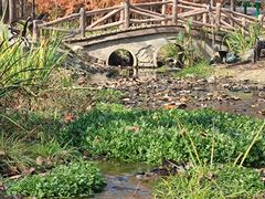 -白水寺森林公园