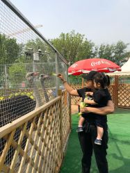 -萌宠亲子动物乐园(槐房万达店)