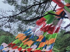 -硗碛藏寨·神木垒景区