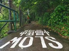 -南丫岛
