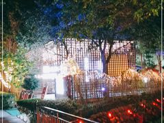 -二荆条·蜀鲜汇城市森林火锅