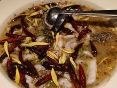 -渔见·精品川菜·老坛酸菜鱼(大朗店)