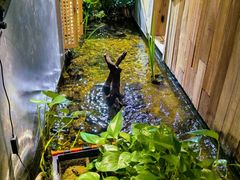 -邈墨茶馆(凤起路店)