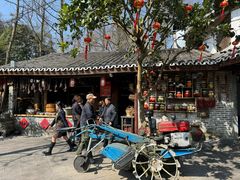 -青城甲(青城山店)