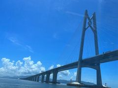 -招商蛇口邮轮母港(观光客运)