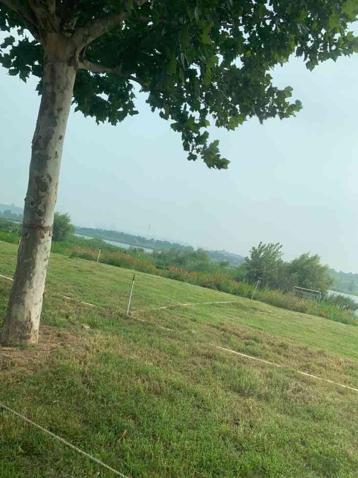 太平河公园-"太平河公园整体环境非常的不错,然后河的两.