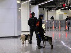 -东方体育中心(地铁站)