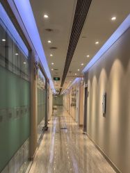 -上海首尔丽格医疗美容医院