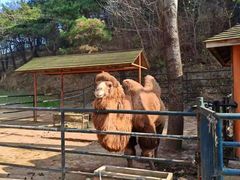 -大连森林动物园