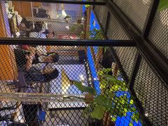 -鱼库·不仅是一家烤鱼店(车公庙店)