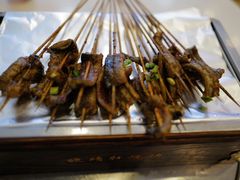 鳝鱼-晓靖轩烧烤(沙河风情店)