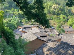 -杨家堂村