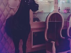 -自由港KTV(王子公主金平店)