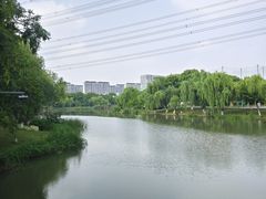 -九里河湿地公园
