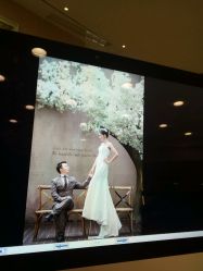 点击看大图 -金夫人婚纱摄影(华南店)