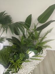 -HEYAN荷妍专业脱毛连锁机构
