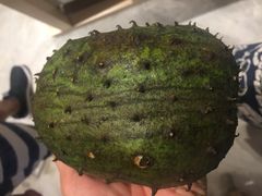 -都念榴莲·城市榴莲