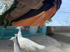 -水上乐园·欢乐世界