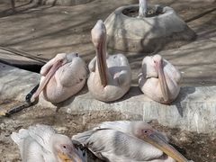 -水上乐园·欢乐世界