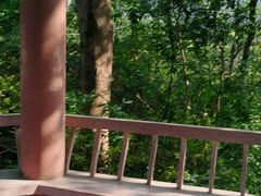 -水濂山森林公园