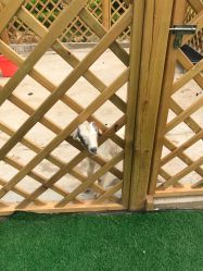 点击看大图 -萌宠亲子动物乐园(槐房万达店)