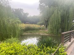 -圩墩遗址公园