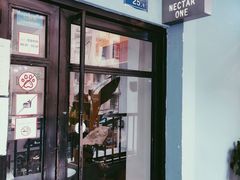 门面-Nectar One Cafe(勇烈路n1店)