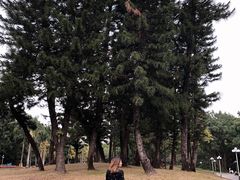 -人民公园(罗湖区)