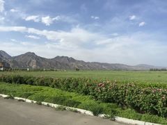 -敕勒川草原文化旅游区